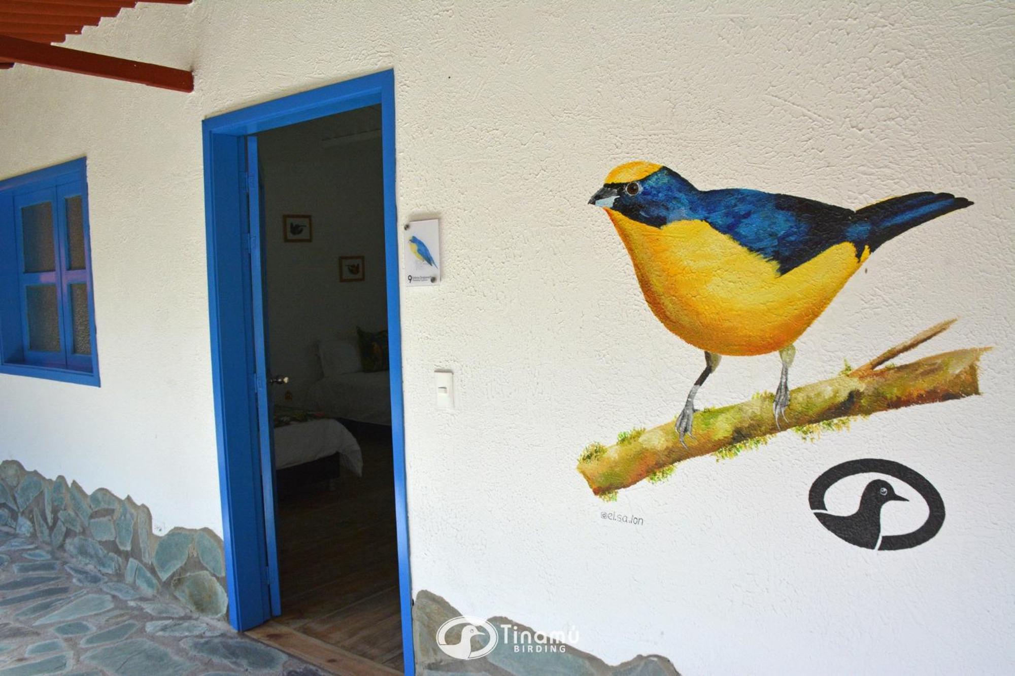 Tinamu Birding Ξενοδοχείο La Manuelita Εξωτερικό φωτογραφία