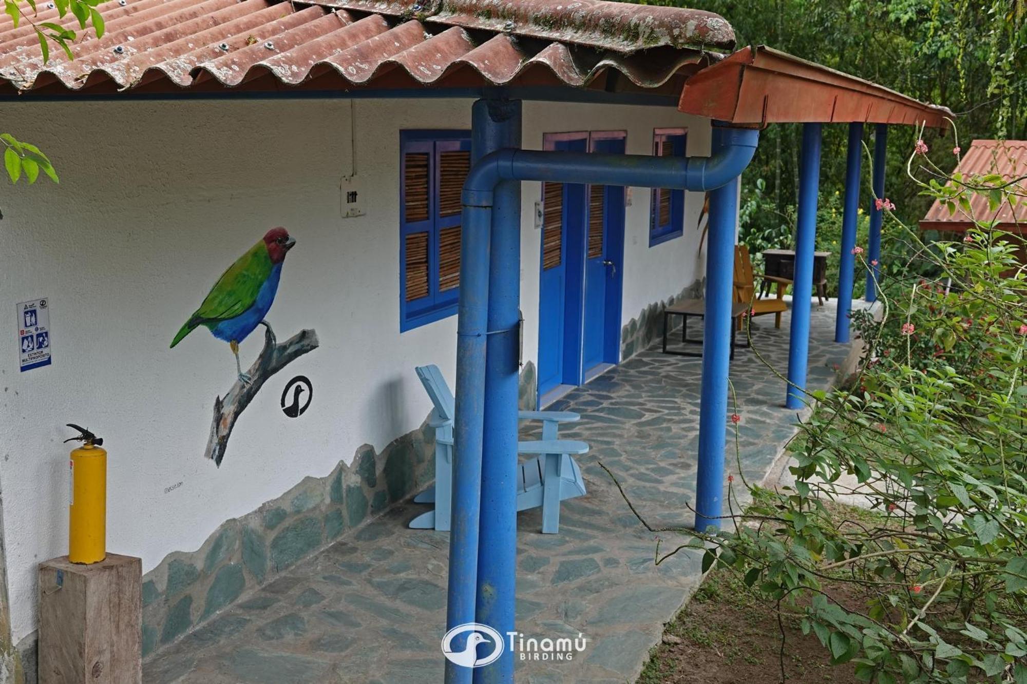 Tinamu Birding Ξενοδοχείο La Manuelita Εξωτερικό φωτογραφία